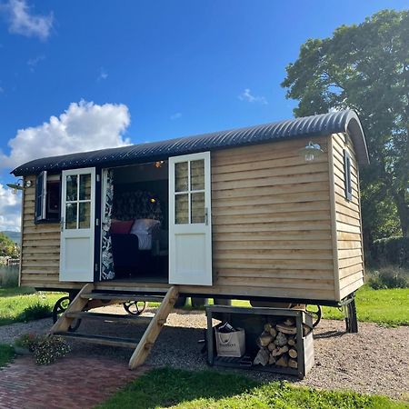 Toadland Shepherd Huts Durham Zewnętrze zdjęcie